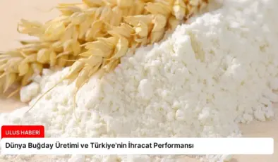 Dünya Buğday Üretimi ve Türkiye’nin İhracat Performansı