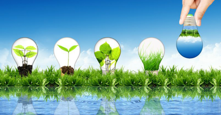 Çevre Danışmanlığında Uzmanlık ve Deneyim