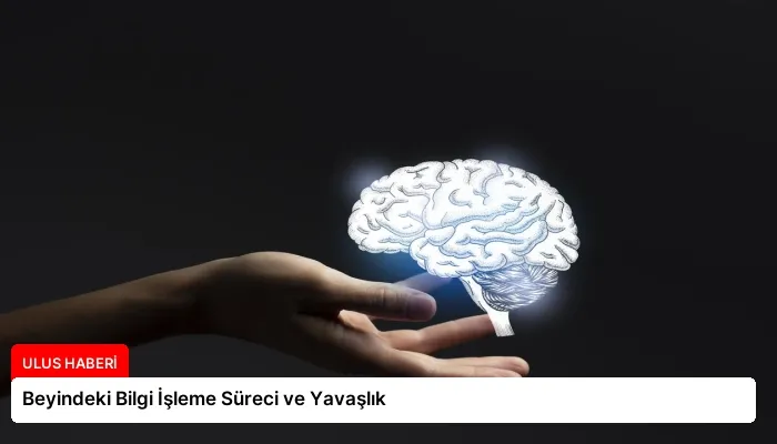 Beyindeki Bilgi İşleme Süreci ve Yavaşlık