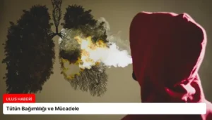 Tütün Bağımlılığı ve Mücadele