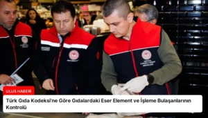 Türk Gıda Kodeksi’ne Göre Gıdalardaki Eser Element ve İşleme Bulaşanlarının Kontrolü