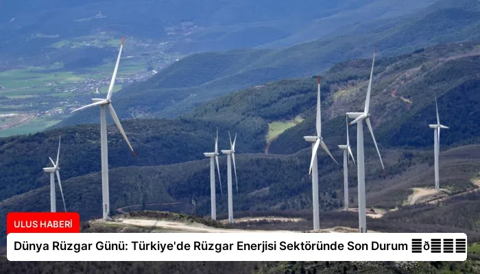 Dünya Rüzgar Günü: Türkiye’de Rüzgar Enerjisi Sektöründe Son Durum ⏬👇