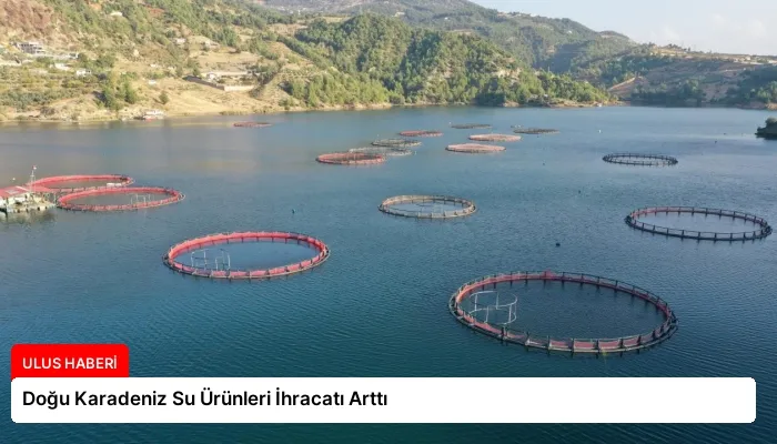 Doğu Karadeniz Su Ürünleri İhracatı Arttı