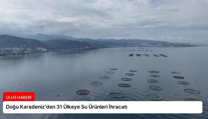 Doğu Karadeniz’den 31 Ülkeye Su Ürünleri İhracatı