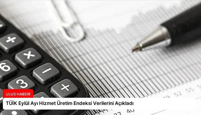 TÜİK Eylül Ayı Hizmet Üretim Endeksi Verilerini Açıkladı