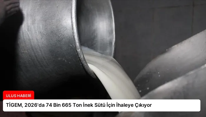 TİGEM, 2026’da 74 Bin 665 Ton İnek Sütü İçin İhaleye Çıkıyor