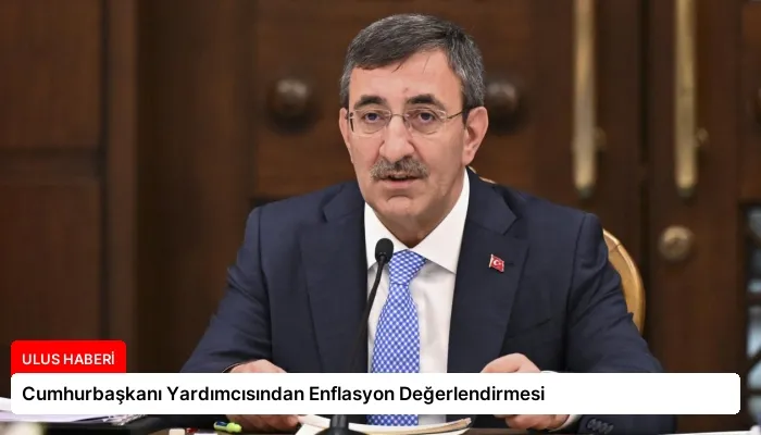 Cumhurbaşkanı Yardımcısından Enflasyon Değerlendirmesi
