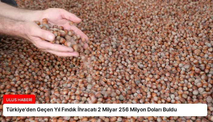 Türkiye’den Geçen Yıl Fındık İhracatı 2 Milyar 256 Milyon Doları Buldu