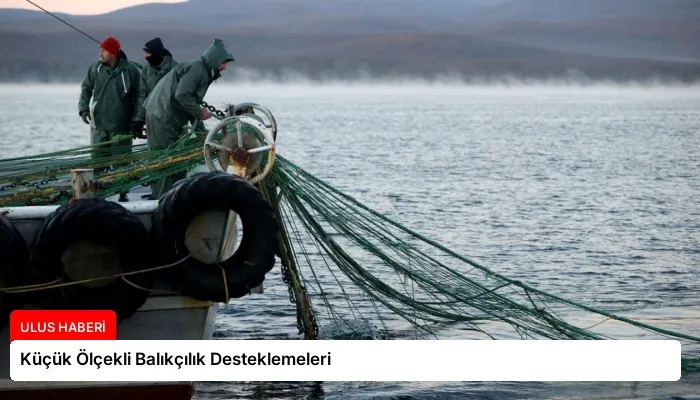 Küçük Ölçekli Balıkçılık Desteklemeleri