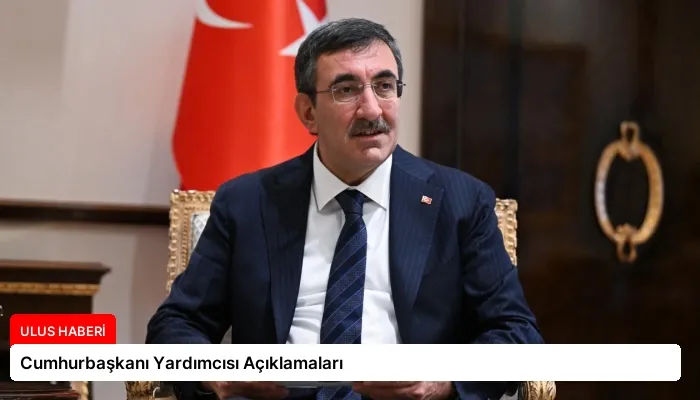 Cumhurbaşkanı Yardımcısı Açıklamaları