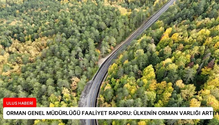 ORMAN GENEL MÜDÜRLÜĞÜ FAALİYET RAPORU: ÜLKENİN ORMAN VARLIĞI ARTIYOR