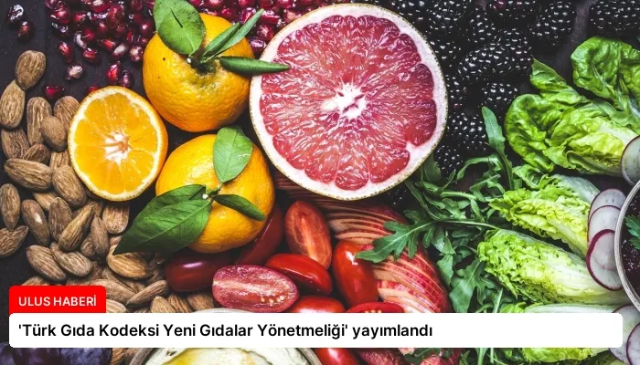 ‘Türk Gıda Kodeksi Yeni Gıdalar Yönetmeliği’ yayımlandı