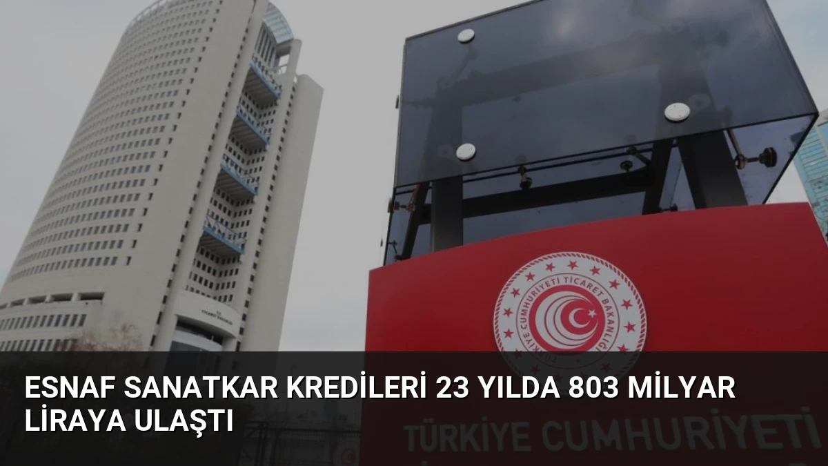 Esnaf Sanatkar Kredileri 23 Yılda 803 Milyar Liraya Ulaştı