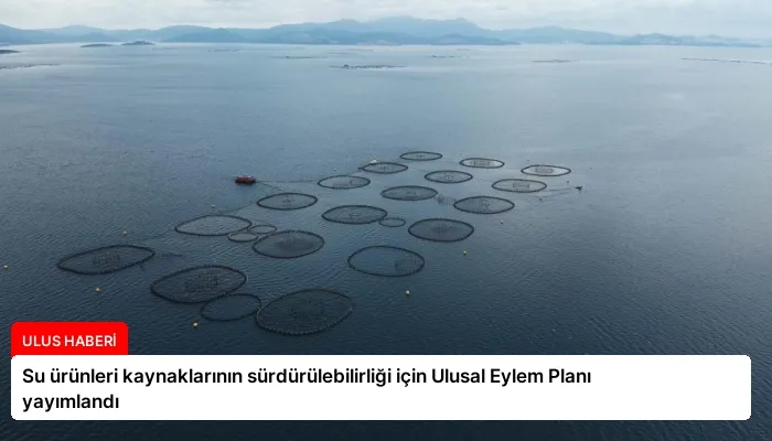 Su ürünleri kaynaklarının sürdürülebilirliği için Ulusal Eylem Planı yayımlandı
