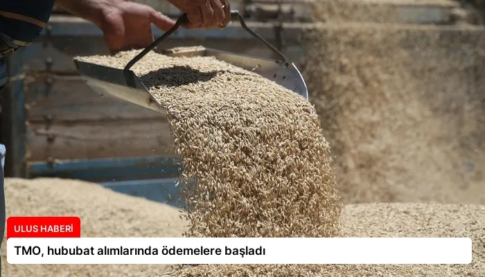 TMO, hububat alımlarında ödemelere başladı