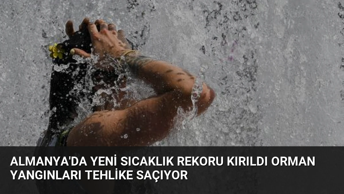Almanya’da Yeni Sıcaklık Rekoru Kırıldı Orman Yangınları Tehlike Saçıyor