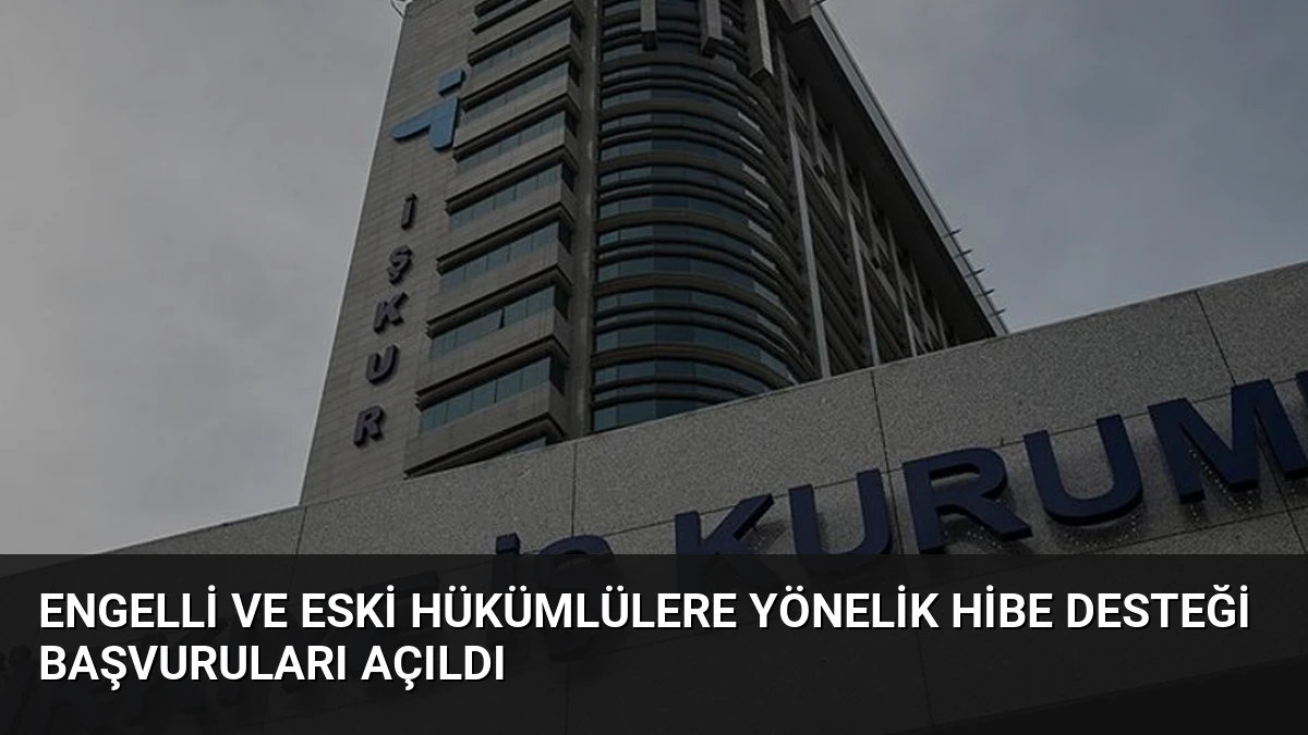 Engelli ve Eski Hükümlülere Yönelik Hibe Desteği Başvuruları Açıldı