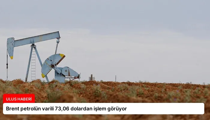 Brent petrolün varili 73,06 dolardan işlem görüyor