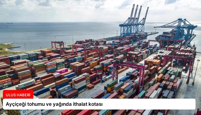 Ayçiçeği tohumu ve yağında ithalat kotası