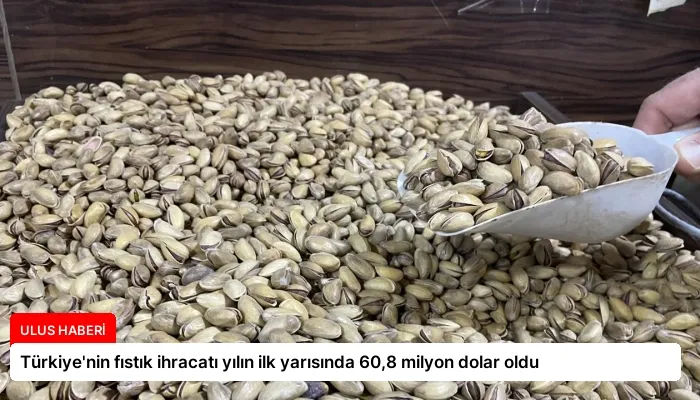Türkiye’nin fıstık ihracatı yılın ilk yarısında 60,8 milyon dolar oldu