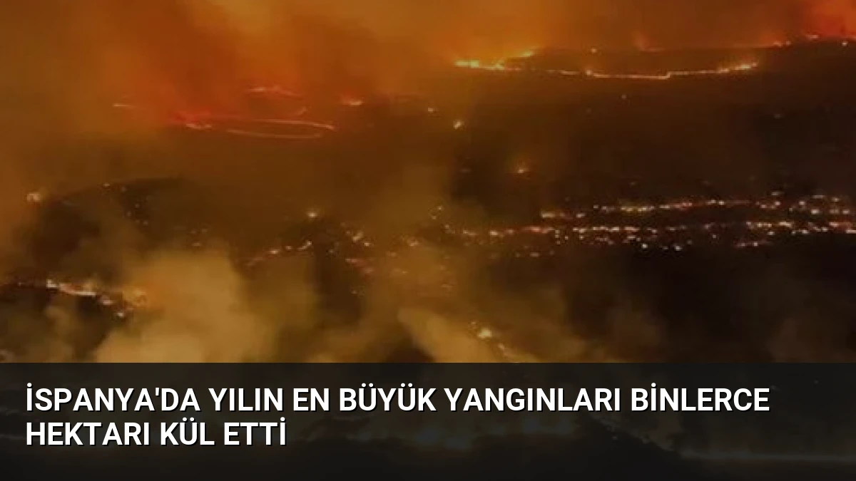 İspanya’da Yılın En Büyük Yangınları Binlerce Hektarı Kül Etti