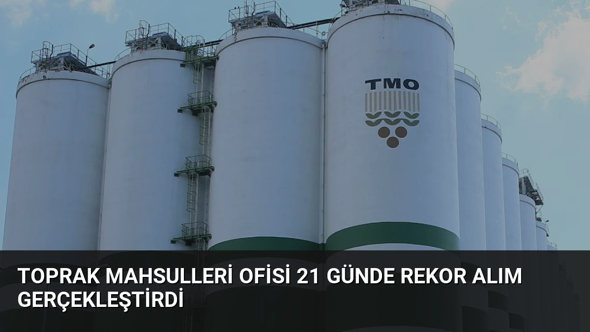 Toprak Mahsulleri Ofisi 21 Günde Rekor Alım Gerçekleştirdi