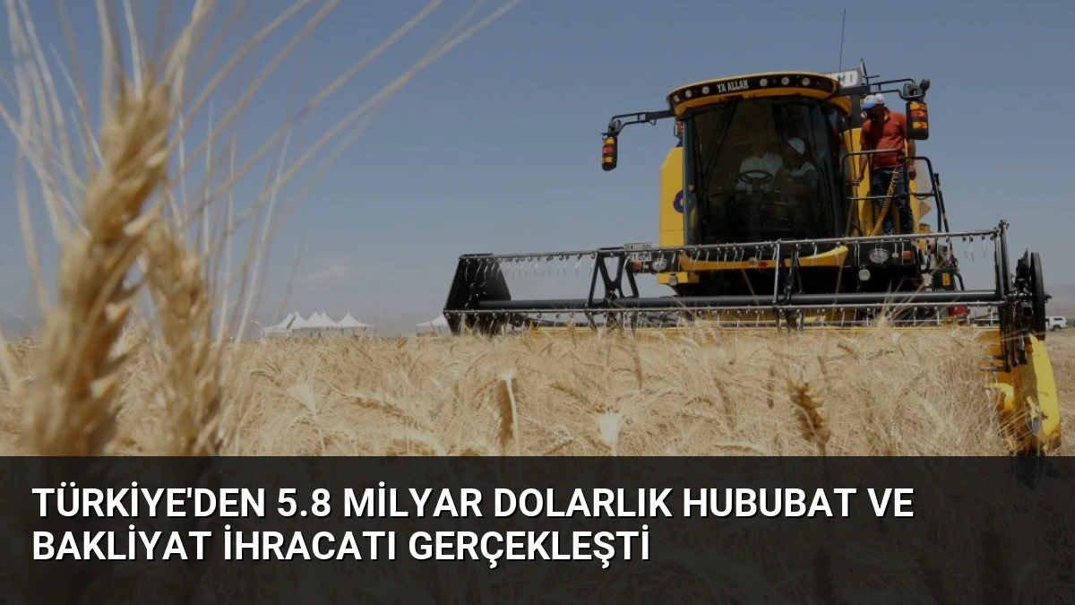 Türkiye’den 5.8 Milyar Dolarlık Hububat ve Bakliyat İhracatı Gerçekleşti