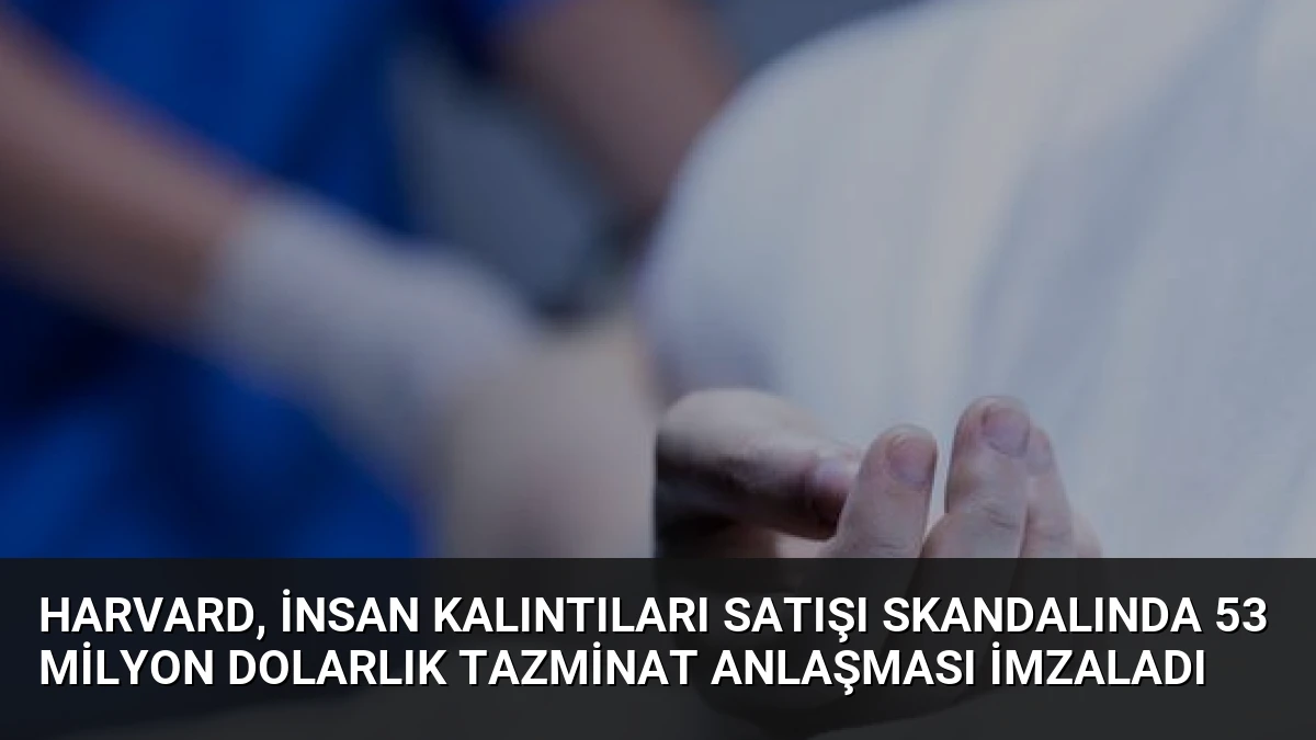 Harvard, İnsan Kalıntıları Satışı Skandalında 53 Milyon Dolarlık Tazminat Anlaşması İmzaladı