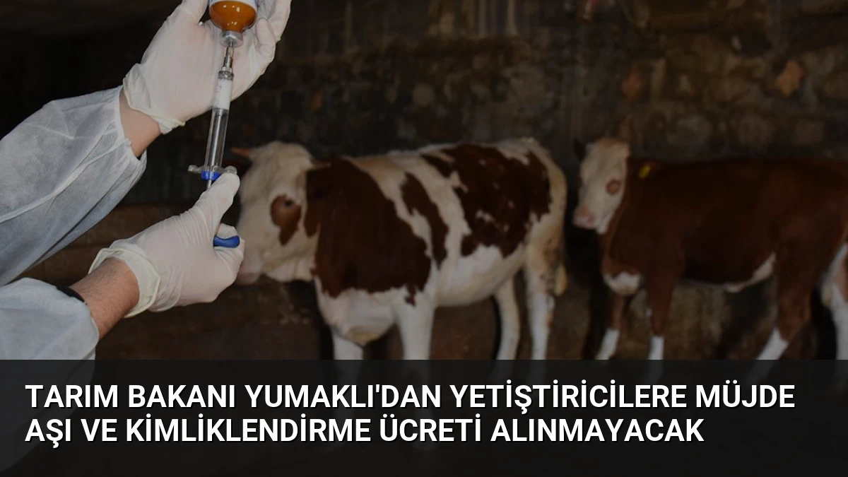 Tarım Bakanı Yumaklı’dan Yetiştiricilere Müjde Aşı ve Kimliklendirme Ücreti Alınmayacak