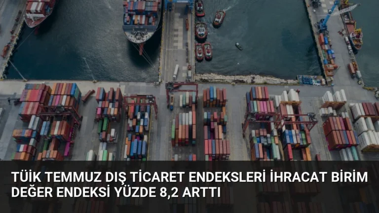 TÜİK Temmuz Dış Ticaret Endeksleri İhracat Birim Değer Endeksi Yüzde 8,2 Arttı