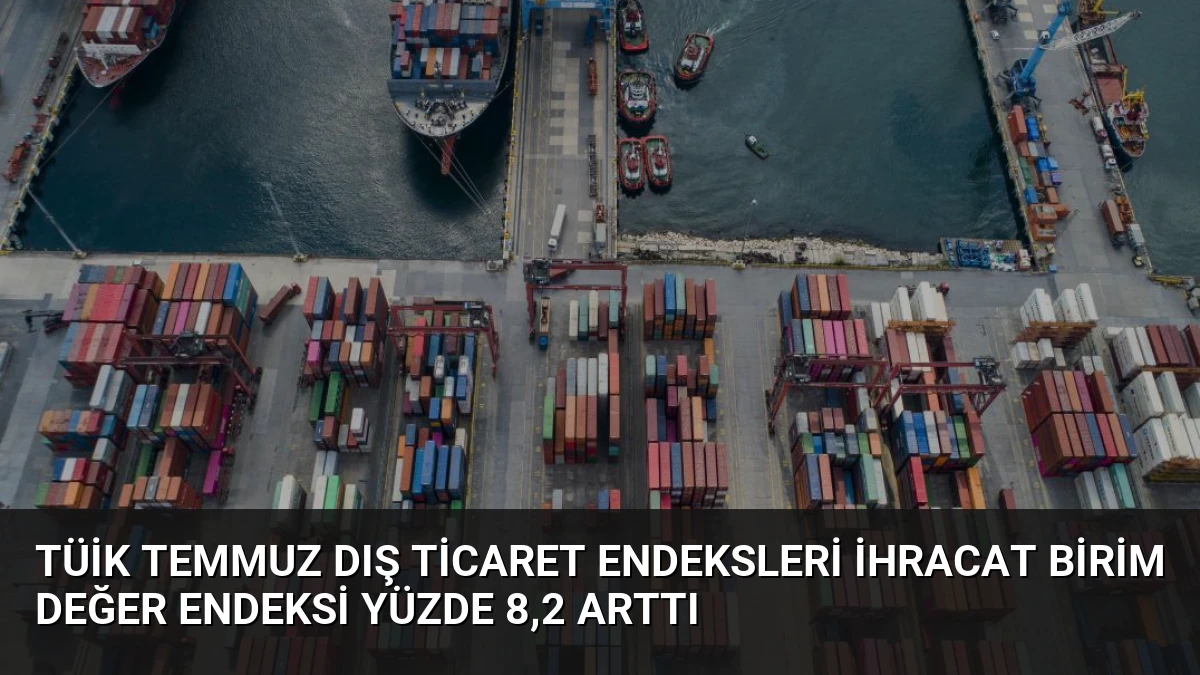TÜİK Temmuz Dış Ticaret Endeksleri İhracat Birim Değer Endeksi Yüzde 8,2 Arttı