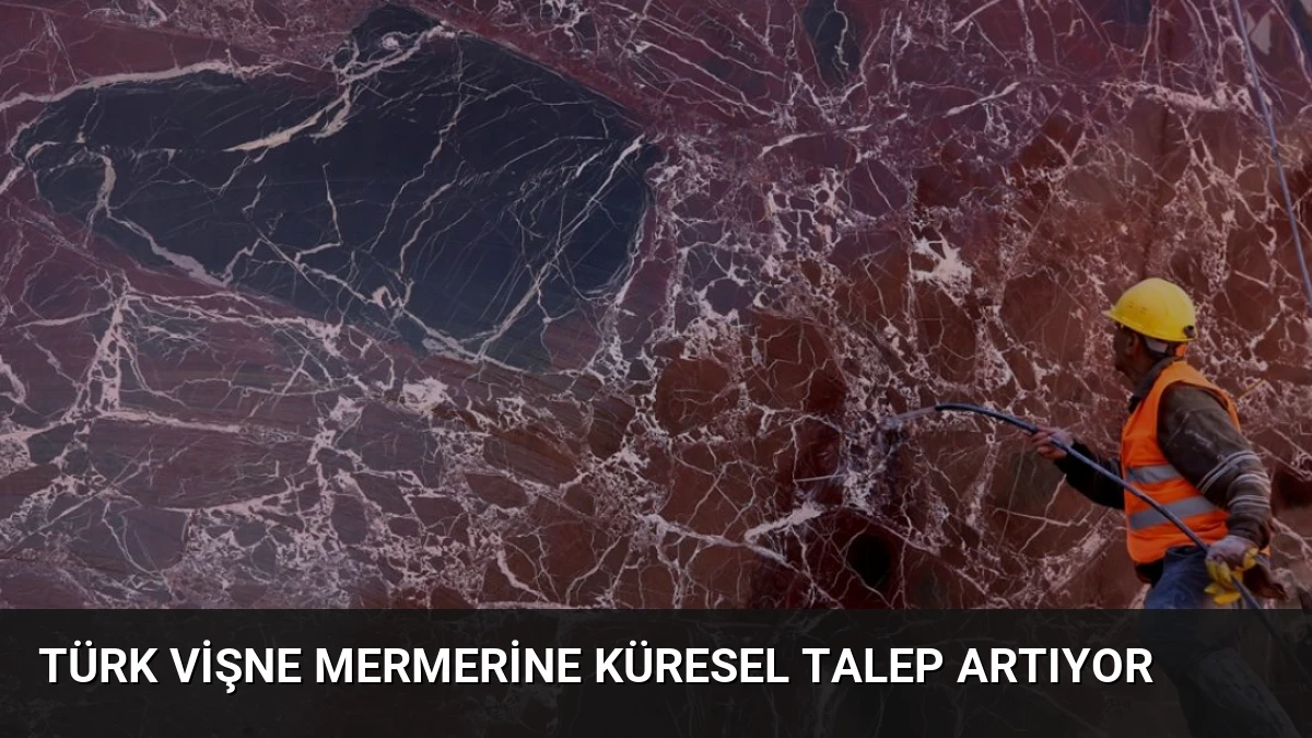 Türk Vişne Mermerine Küresel Talep Artıyor